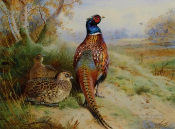 coq et poule faisan au bord d’un bois 1926 oiseaux Peinture à l'huile